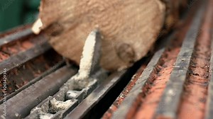 Log conveyor pulling log onto automated line for further processing Stock Video