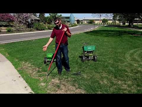 UMN Extension Lawn Repair