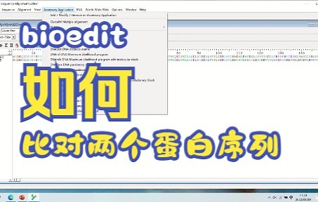 bioedit傻瓜式比对两个蛋白质序列（自用）