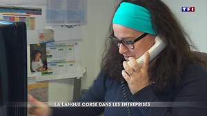 Comment la langue corse est-elle pratiquée dans le milieu professionnel ?