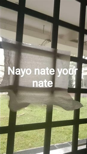 Ray yeah ray yeah & Nayo nate your nate & Window 🪟