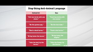 'Feed 2 birds with 1 scone': PETA offers tips to eliminate 'anti-animal language'