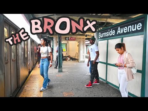 New York's lesser known borough: The Bronx, Burnside Avenue