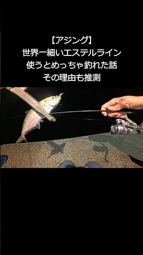 【アジング】世界一細いエステルラインを使ったらめっちゃ釣れた話|その理由も推測