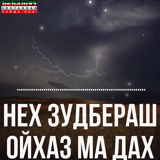 #хьехамаш #рекомендации❤️❤️ #