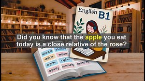 2500 Must Know CEFR B1 Vocabulary - The Linguistic Journey of ’Apple’: From Fruit to Idiom
