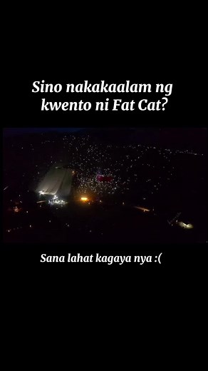 RIP FAT CAT 🐱🍔🥺#fyp #douyin抖音 #douyin_china #fypシ #fypシ゚viral