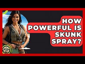 How Powerful Is Skunk Spray? - The Wild Life Explorer