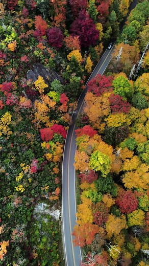 Autumn Beauty in Appalachia