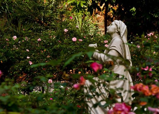Franciscan Monastery of the Holy Land in America | Washington DC