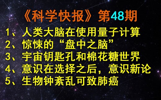 新研究表明，人类大脑竟然是台“量子计算机”，【科学快报】第48期