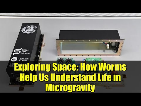 Exploring Space: How Worms Help Us Understand Life in Microgravity