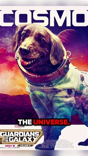 Cosmo | The Dog Who Guarded the End of the Universe 🐶🌌