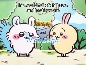 Usagi and Momonga: Adventures in a Chiikawa World