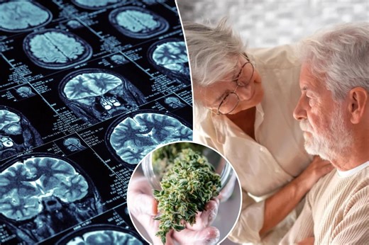 High hopes: THC may help protect against Alzheimer’s — if it’s paired with this common drug