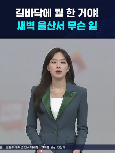 울산에서의 가짜 횡단보도 사건