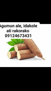 2.6K views · 29 reactions | Agumun ale, idakole ati rakorako 09124673431 | Asha'adat tv | Facebook