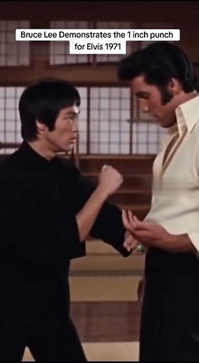The king can take a hit🦵 #brucelee #sora #kungfu #wingchun