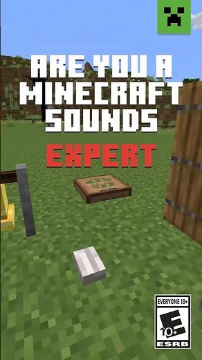 TRY THIS MINECRAFT SOUNDS QUIZ!