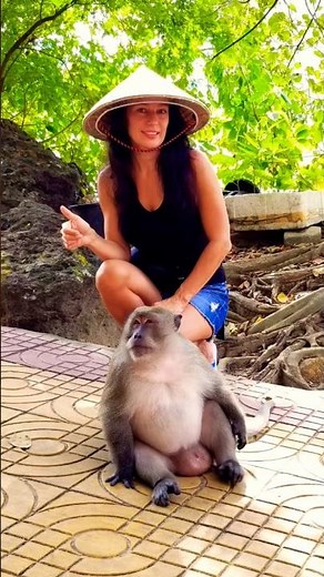 Monkey Life in Phi Phi Islands, Thailand!