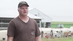 See why the versatile and maneuverable John Deere 324L with High Lift is the right fit for Roy Grewe's dairy farm. Learn more about the features of the new 244L and 324L wheel loaders here: https://bit.ly/2SLkwVo | Machinefinder