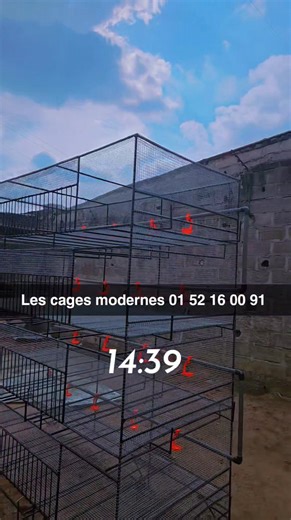 Très bon choix ! On a justement des cages pour lapin qui allient solidité et confort. Vous élevez en intérieur ou en plein air ? Je vous oriente selon votre besoin 👇 | Les cages modernes