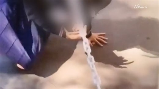 School fights and distressing acts involving students at BSHS