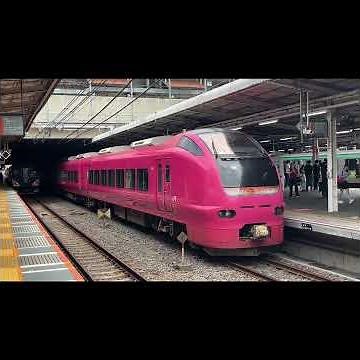 E257系2500番台 特急「草津・四万1号」長野原草津口行きが大宮駅に到着、E653系1000番台U107編成ハマナス色と顔合わせ 2026.8.2 #e653系 #e257系 #長岡花火大会