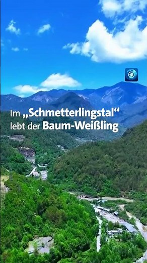 Das Schmetterlingstal in China #Jianchuan #nachrichten #tagesschau
