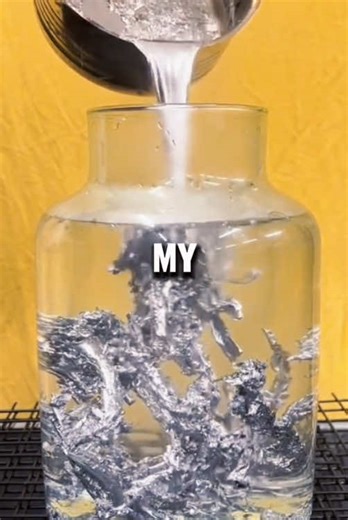 Confronting Teacher Bias: My Experience in AP English