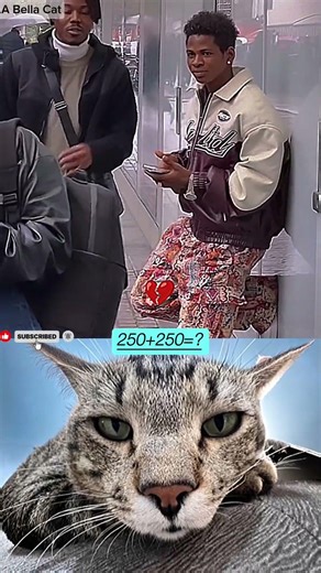 Boy Girl Impress To Sleep 😪 #funny #cat #dance #shorts