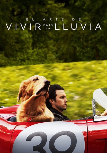El arte de vivir bajo la lluvia - película: Ver online