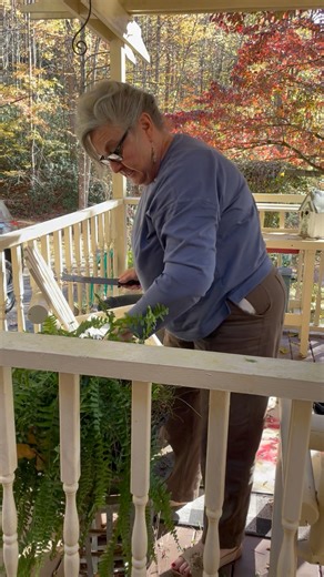 1.8M views · 28K reactions | LET'S GET OUR FERNS READY FOR WINTER Farm Cooking With Nan We can save our ferns over the winter by cutting them back and storing them in a cool basement, seller,or garage. Or any place with tempuratures in the 40s or 50s. Water them about once every two or three weeks. I hope this helps! ❤️Nan #ferns #winterization #WinterReady #justforyou #farmcookingwithnan | Farm Cooking with Nan | Facebook