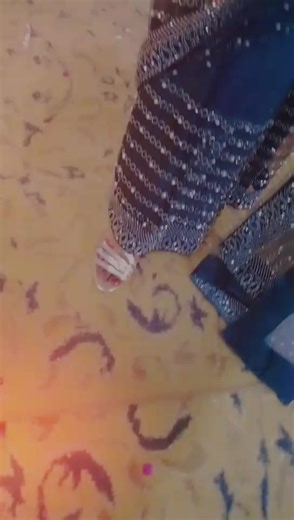 Saree Lover Showcase: Stunning Styles and Inspiration