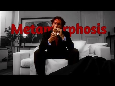 METAMORPHOSIS (Slowed + Reverb)