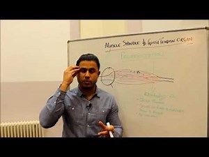 Muscle Sensors (Part III) - An Intro to Proprioception