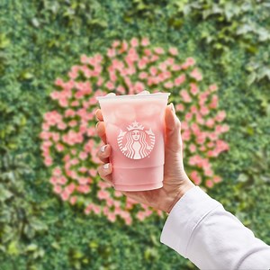 4.2K reactions · 236 shares | Bliss is blooming just around the block! | Starbucks | Facebook