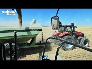 Colorado agriculture commissioner: Farmers are ‘looking at new ways of production’ amid drought