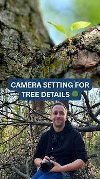 The Secret to Better Forest Photos
