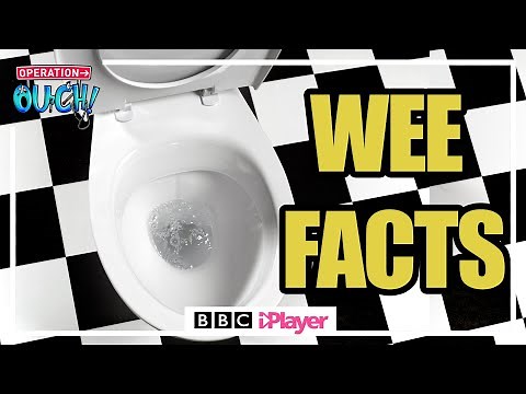 🚽 Facts about WEEEEEEE 🚽 | Operation Ouch | CBBC