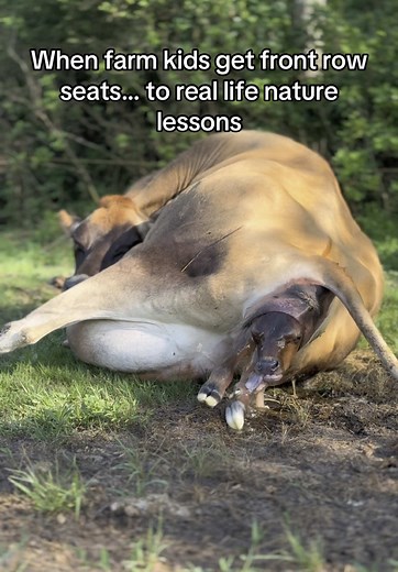 Farm Kids Experience Real Life Nature Lessons