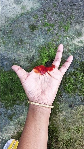 Can you do it, but with viral thread magic tricks just for fun? ✨ #Magic #Tricks #Fun #Tutorial