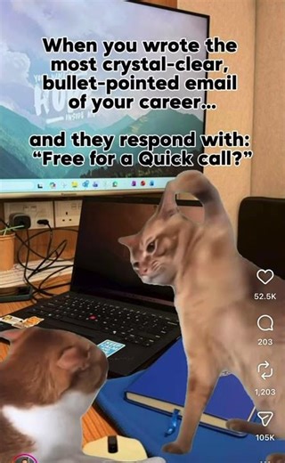 Cat email meme