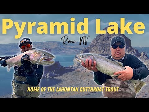 Pyramid Lake,NV | Lahontan Cutthroat Trout | EPIC two Days of FISHING! (BANGER VIDEO!)