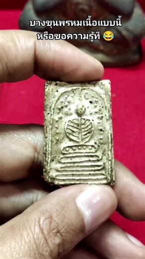 บางขุนพรม เนื้อแบบนี้เหรอ ขอความรู้ที ? #Viral #fypviral #trending #fyp #tiktok