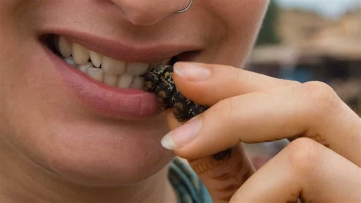 Singapore makes human consumption of 'edible insects' legal. Now worms likely to be served for dinner
