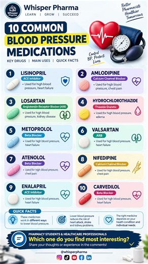 10 Common Blood Pressure Medications: Uses & Drug Classes