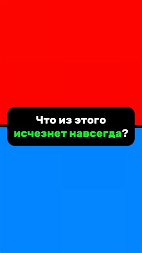 Что ты выберешь? 🤔❗ Подписывайся на тjк: 🔴 Битва Выборов 🔵 и голосуй каждый день 😉 #выбирашки #чтотывыберешь #тоилиэто #выбор #опрос #мойвыбор
