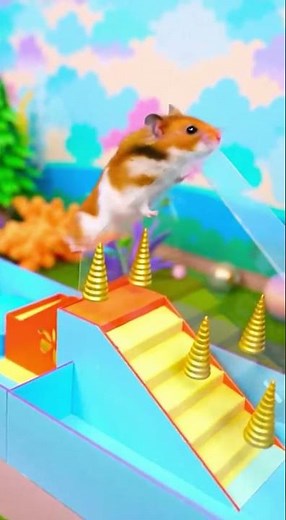 🐹💨 Hamster Runs an Obstacle Course! | Tiny Athlete Mode ON