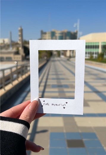 Celebrating University Graduation Memories